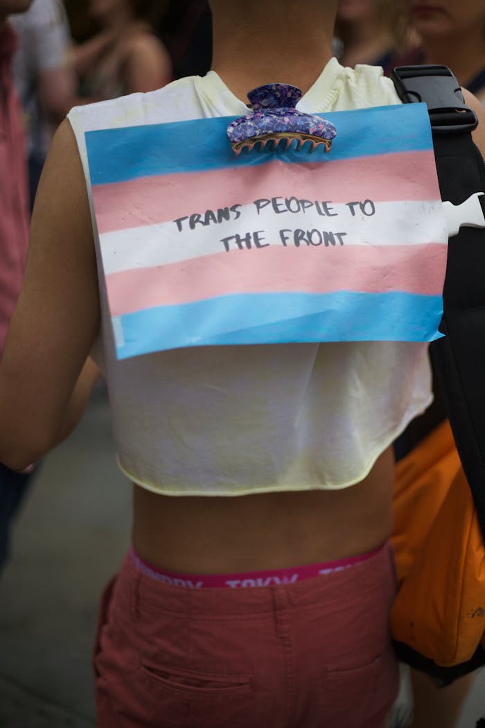 A vibrant display of trans rights activism at a pride parade, featuring a person with a trans flag.